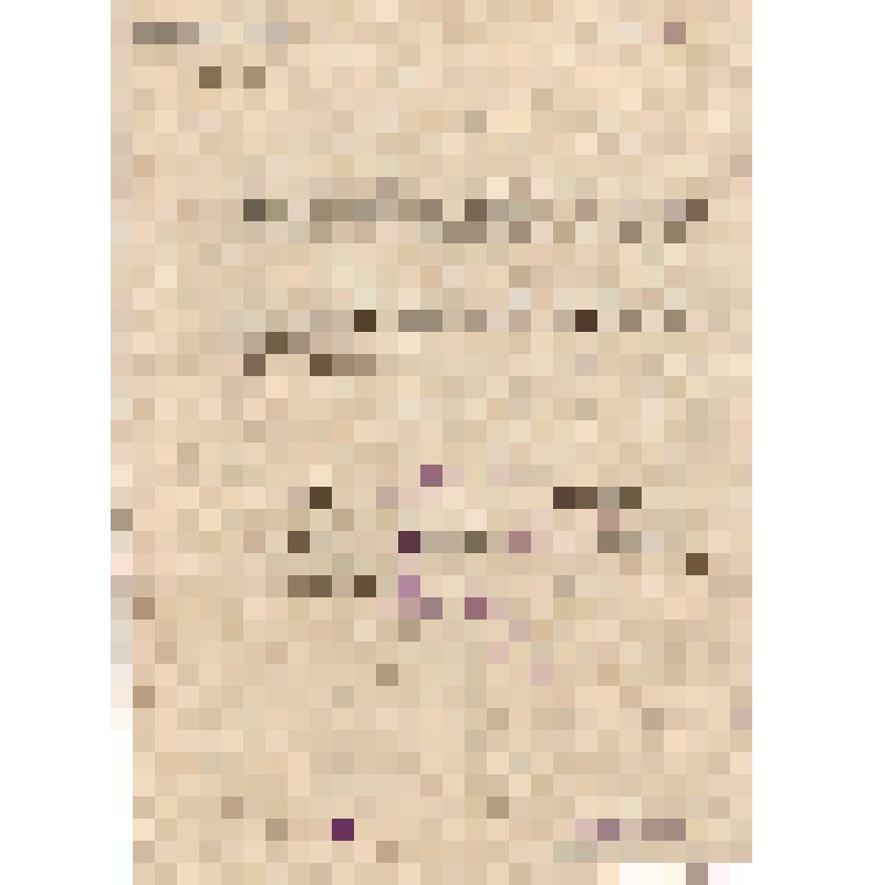 Характеристики работниц дрожжевого завода Наркомата пищевой промышленности, перевыполняющих нормы выработки: Павлову К.В., Теодорович К.П., Ратникову К.В., Бабайкину Е.А., Григорьеву Н.К., Крылову М.И