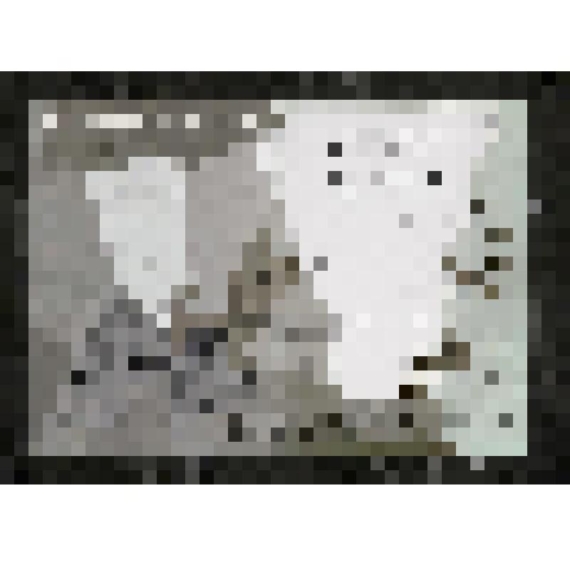 Программа художественная. "Муму" (Режиссер-постановщик - Вихрецкий Д. Художник-постановщик - Чутков В.). Пермь, Театр кукол