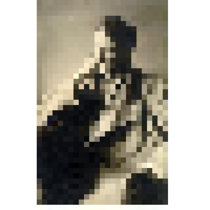 Фотография. Барбюс Анри в Н.Новгороде в больнице