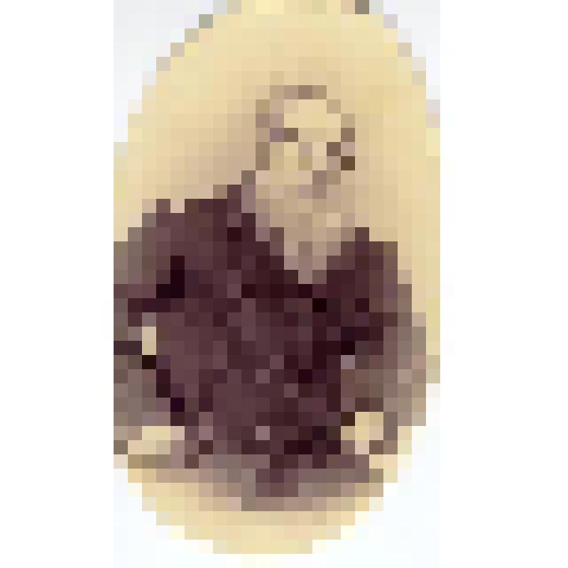 Фотография. Пожилой мужчина