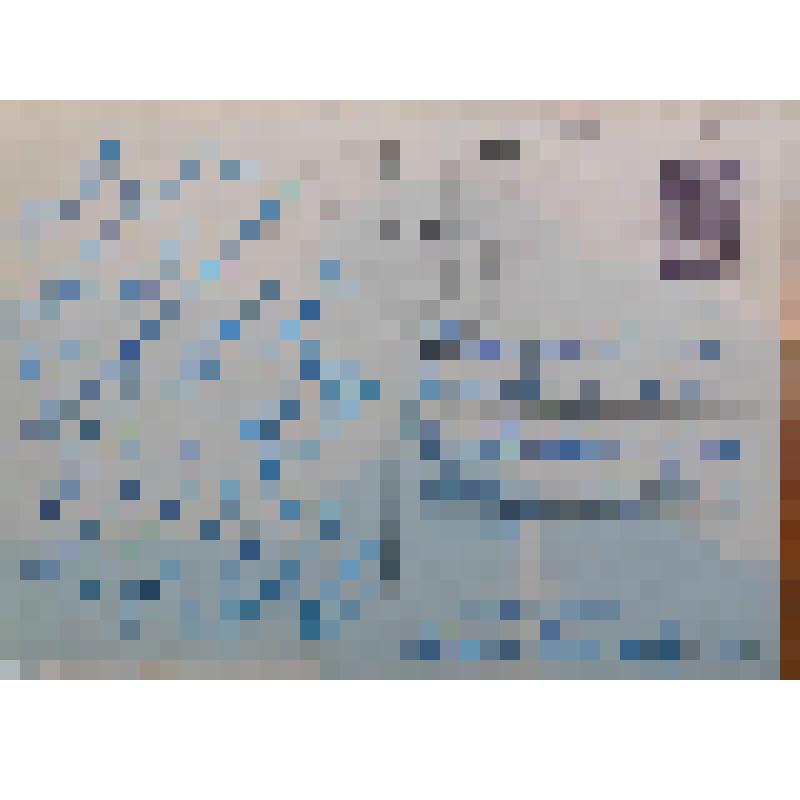 Открытка. Новогодняя ёлка в Риге