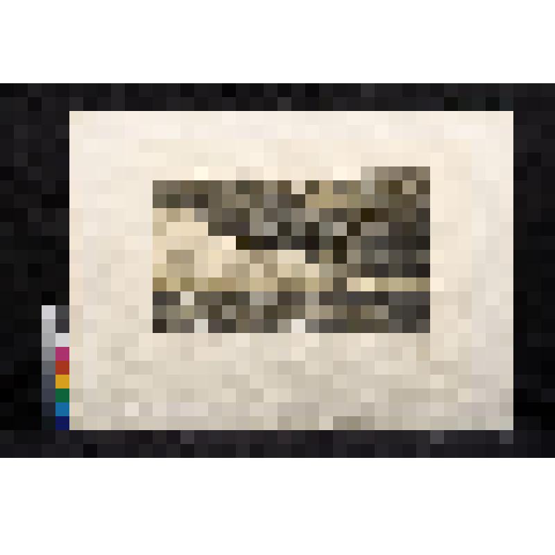 Буря на Оке, из альбома "Мотивы родного пейзажа"