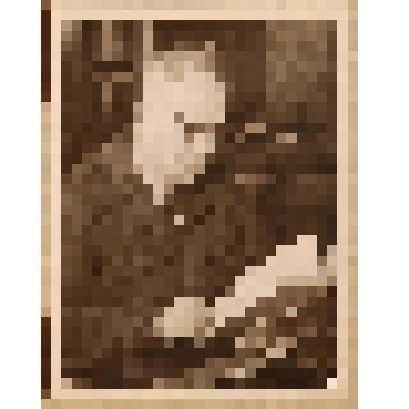 Фотография. Коничев К. И. за рабочим столом, с книгой в руках