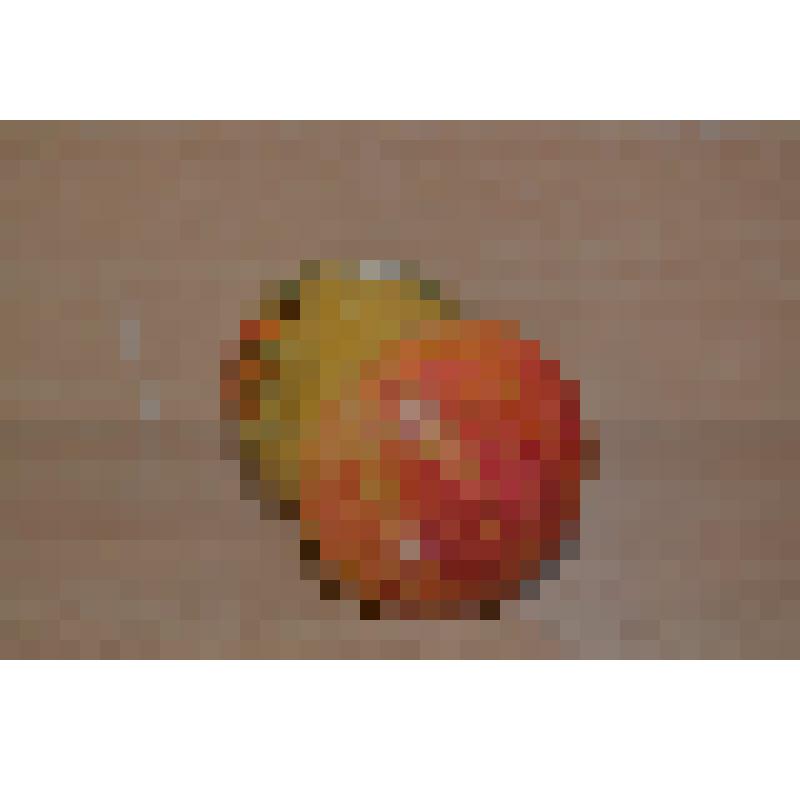 Гриб (2-ой из 6-ти)