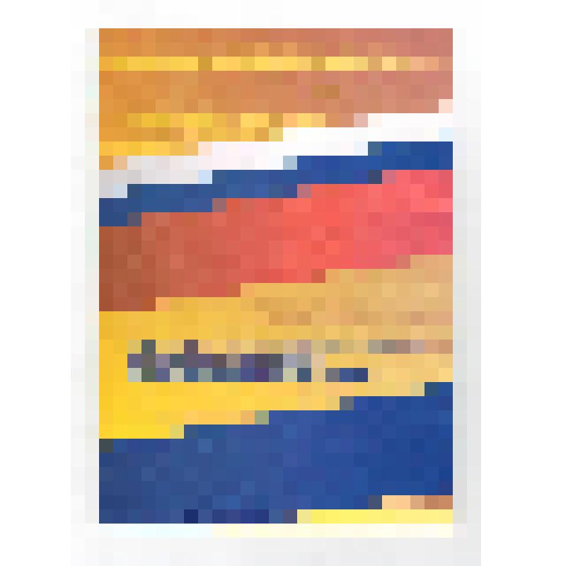 Брошюры. Брошюра "СПРАВЕДЛИВАЯ РОССИЯ: РОДИНА / ПЕНСИОНЕРЫ / ЖИЗНЬ" Политическая платформа партии (перепечатка)". - Абакан: ГУП ПП "Хакасия", 2007