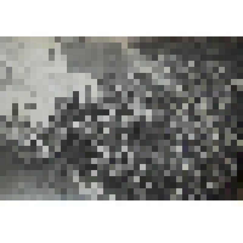 фотография. Соликамск. Молебен у Троицкого собора по случаю начала первой мировой войны 1914 г