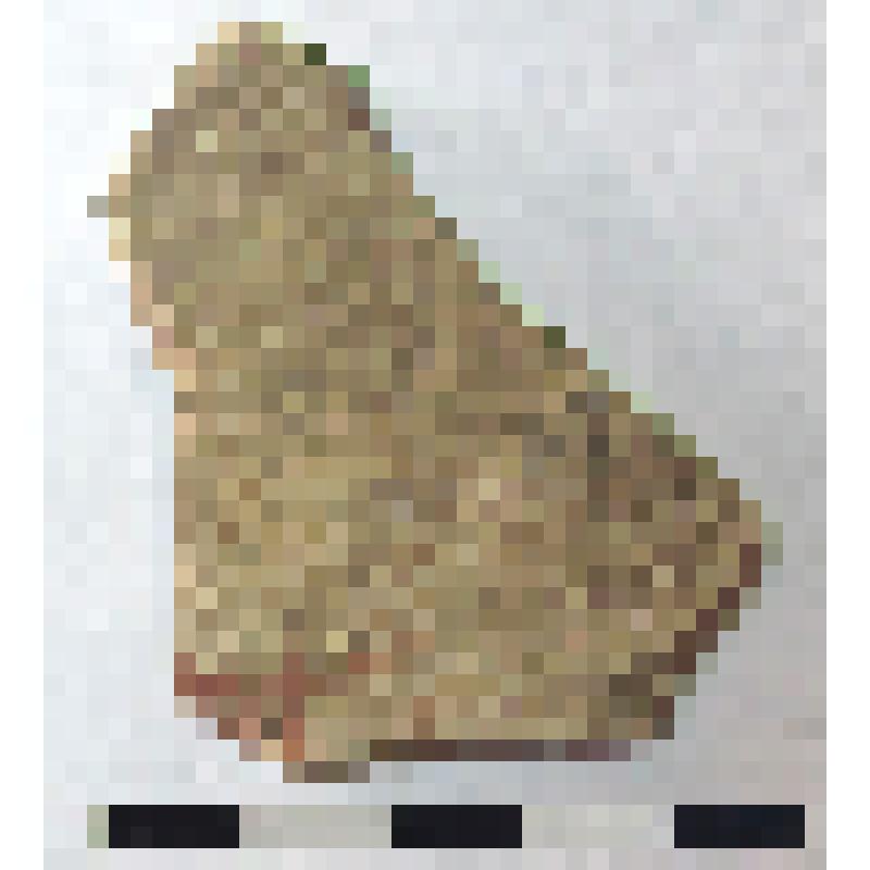 Фрагмент плеча амфоры типа D с дипинти