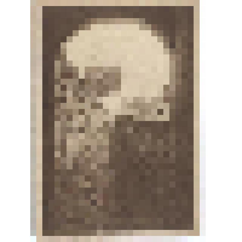 Новодевичий монастырь. Крепостная стена