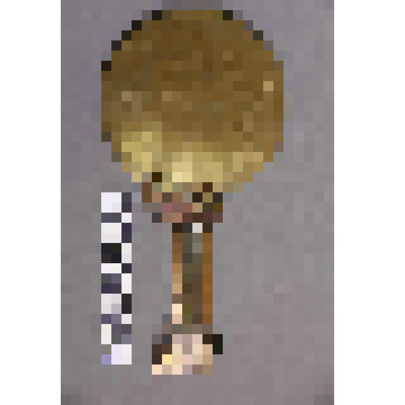 коллекция В.Ф. Лагодича. «Ручное зеркало эпохи бронзы». Латунное зеркало. Ручка украшена скифо-сибирским звериным стилем, навершие изготовлено в виде безрогого животного, глаза из красного камня. Основание ручки в виде оленя на рогах которого держится дис