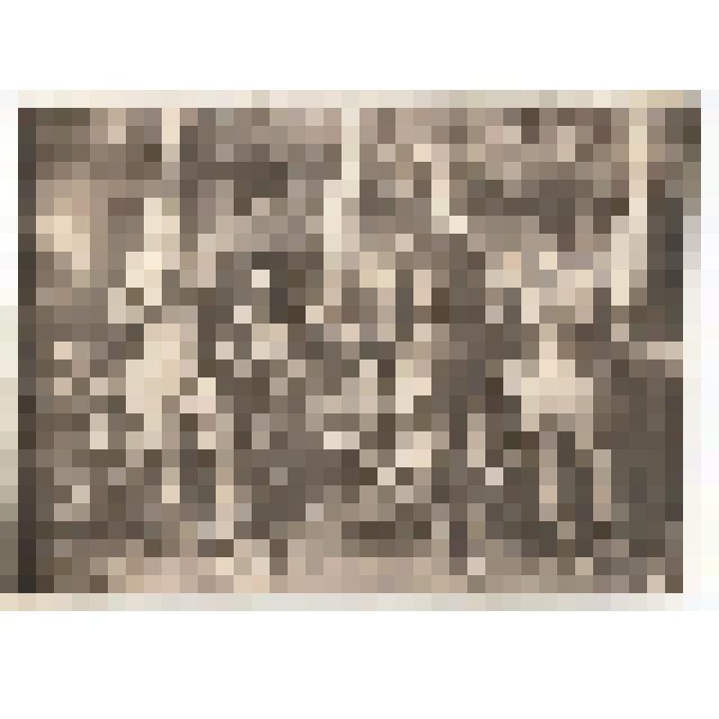 Ф/чб. Бойцы 148-й стрелковой дивизии. Красноармеец Гельфанд Геннадий Исаакович. Ст/сержант, фотограф политотдела Бывалин Виталий Аврамович и Гельфанд Г.И. д. Успенка Ливенский р-н. 10.9.1942