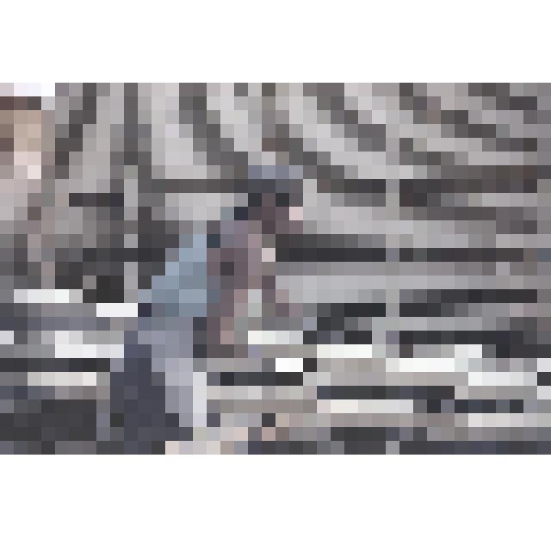 Негатив цветной. Порт Архангельска. Рабочий на укладке досок