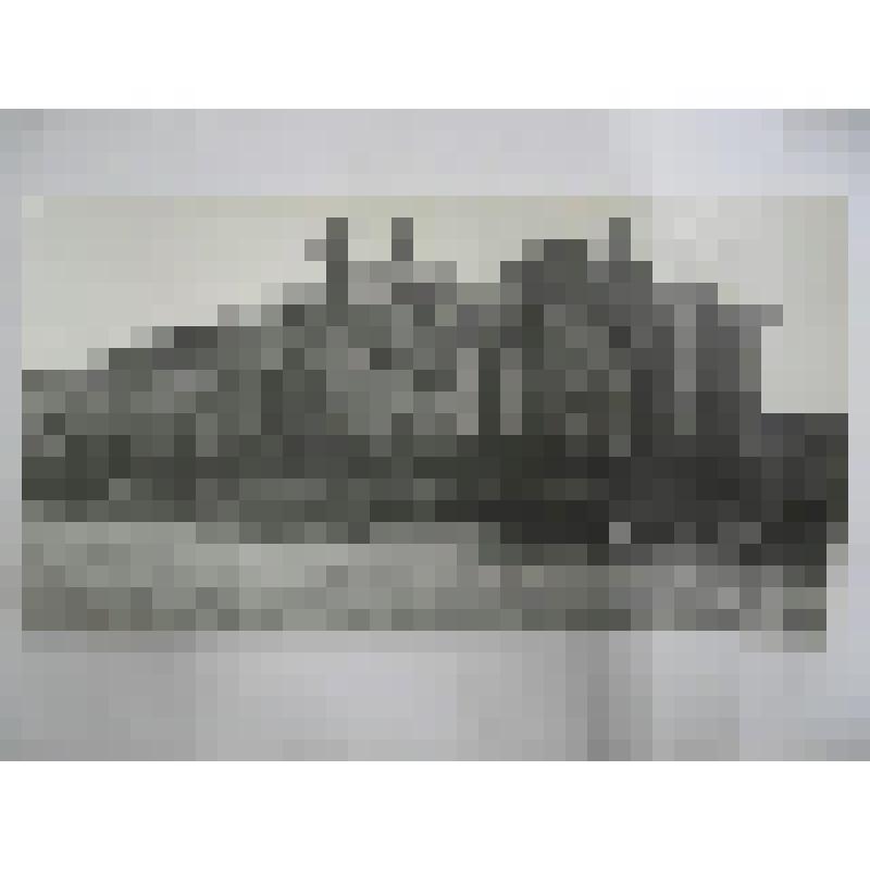 Дом Шишкина. Клементьевская ул., 1. 2-я пол. 19 в. Московская обл., г. Можайск. Дом Шишкина, Клементьевская ул., XIX в. Общий вид с улицы