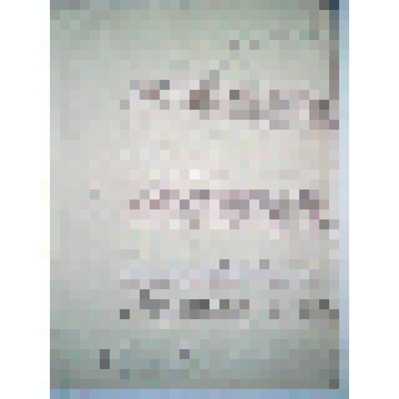 Текст выступления