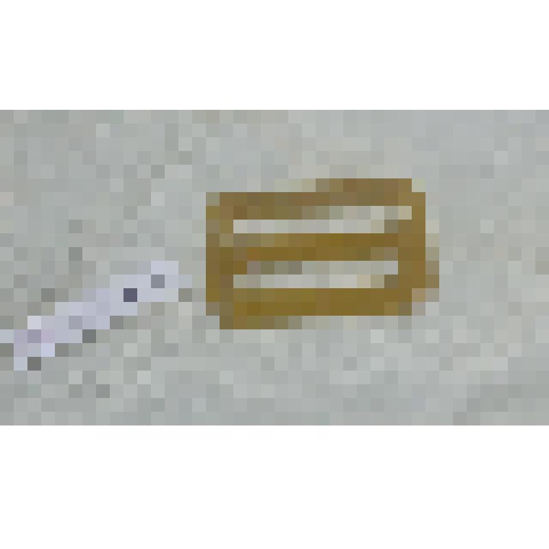 Пряжка к поясу для платья, из коллекции бытовых вещей семьи Орловой Калерии Николаевны, бывшей заведующей лабораторией Саратовского областного туберкулезного диспансера