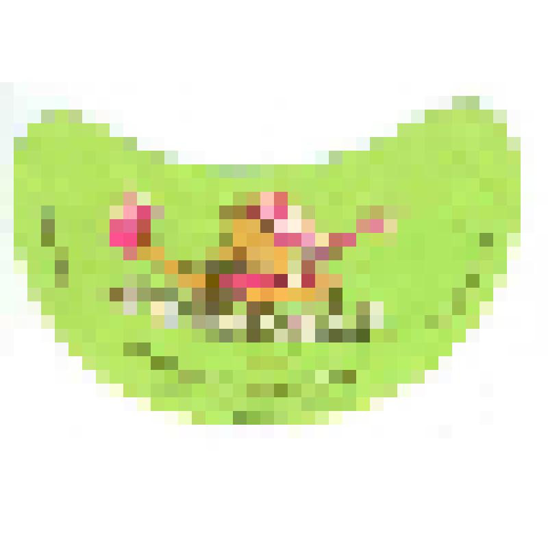 Кольеретка-этикетка горловая к напитку «Лимонад», из коллекции кольереток – этикеток горловых к безалкогольным напиткам