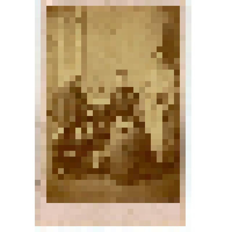 Фотография. Семья саратовских мещан Сафроновых