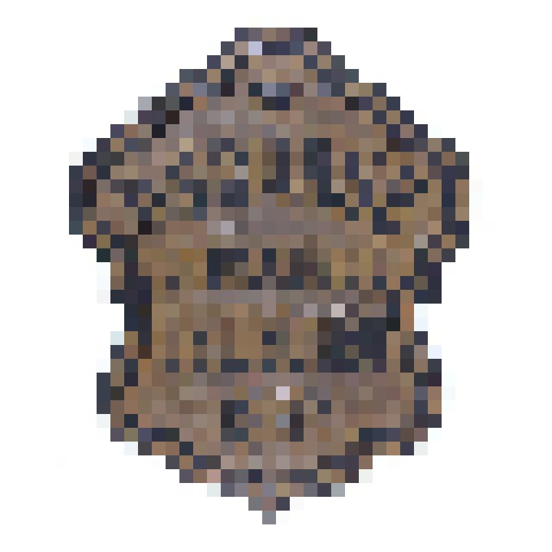 Табличка страховая. «Русское страховое общество. 1867». г. Николаевск