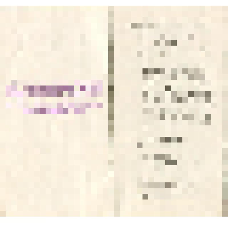 Документ. Программа Всесоюзного съезда учителей, проходившего 28-30 июня 1978 г., выданная Бородину Якову Власовичу, делегату съезда. Г. Москва, 1978 г