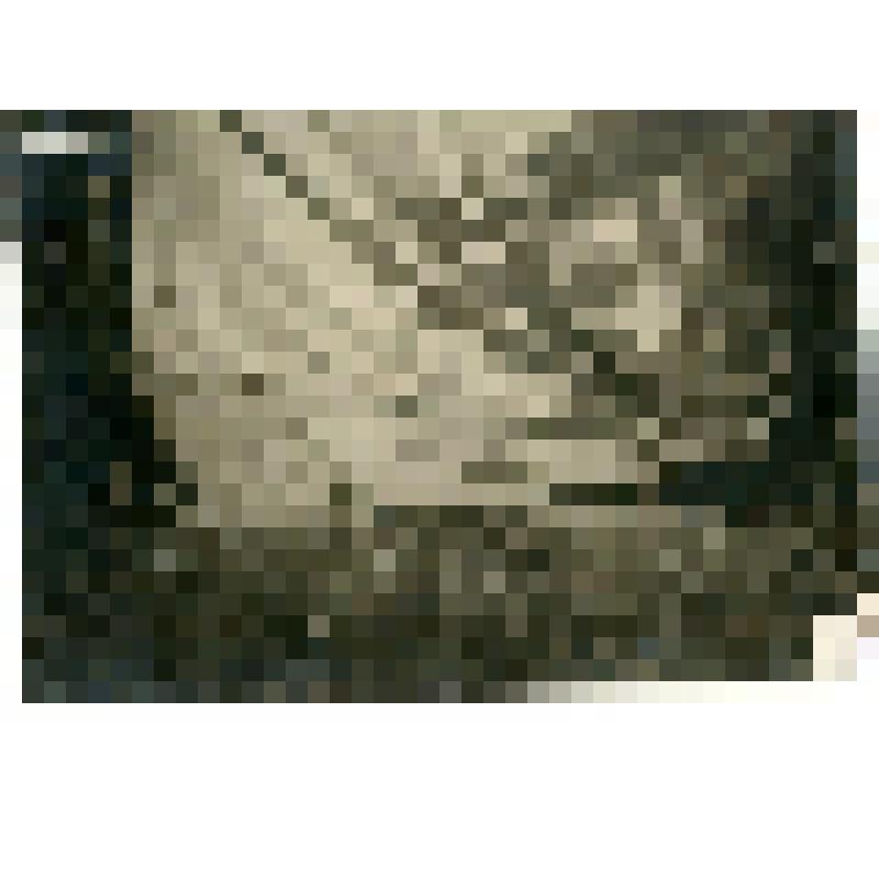 Фотография. Палатки экспедиции инженера Владимира Евграфовича Попова