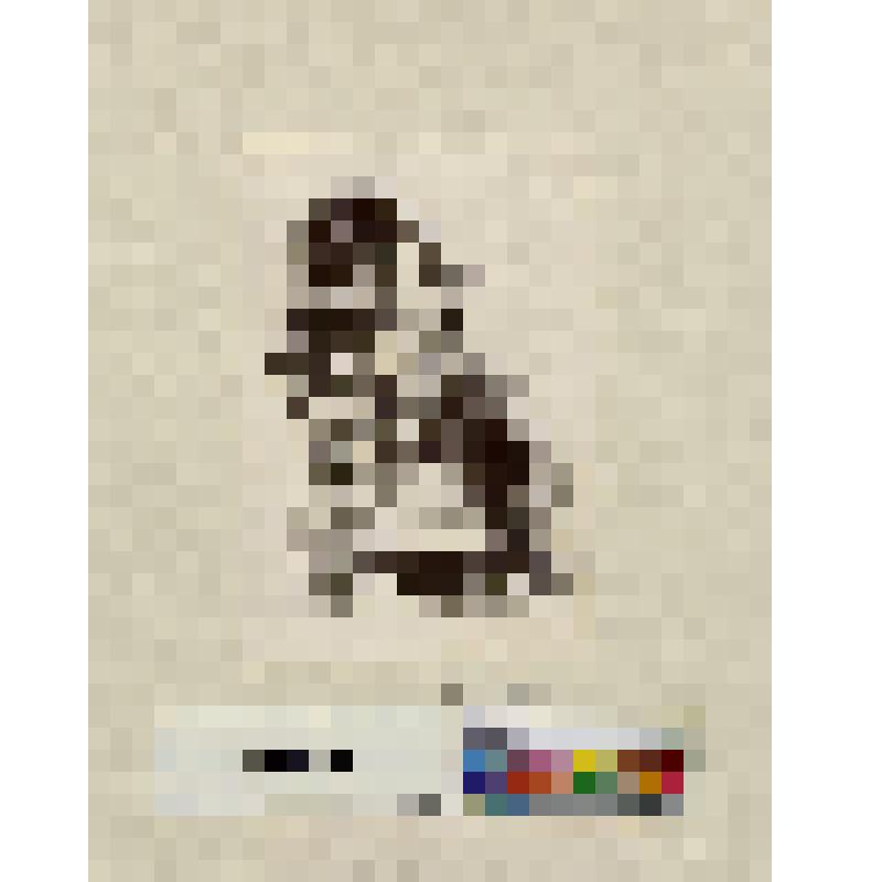 Карикатурное изображение мужчины с огромной головой - сидящего в кресле