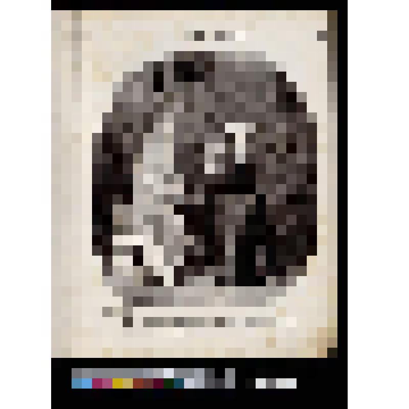 «Tiens, ma femme, v'là mo portrait au Daguerrèotype que je te rapporte de Paris...»