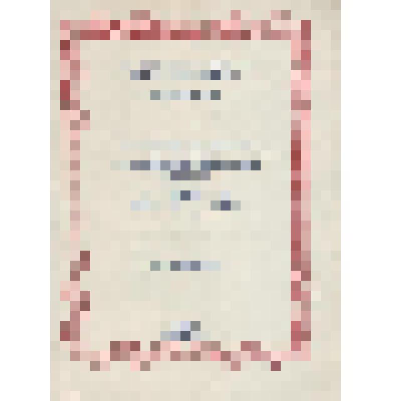 Программа. Программа. Концерт. Государственный Симфонический оркестр Чешской Филармонии