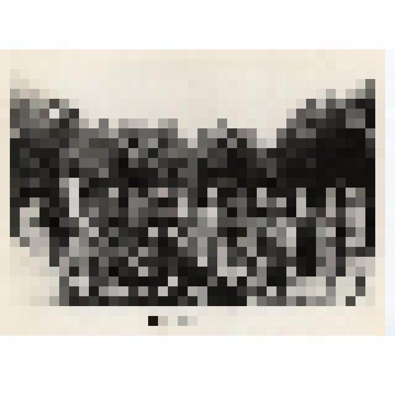 Фотография. Гребенщикова Анна Васильевна в группе ветеранов войны в г. Минске