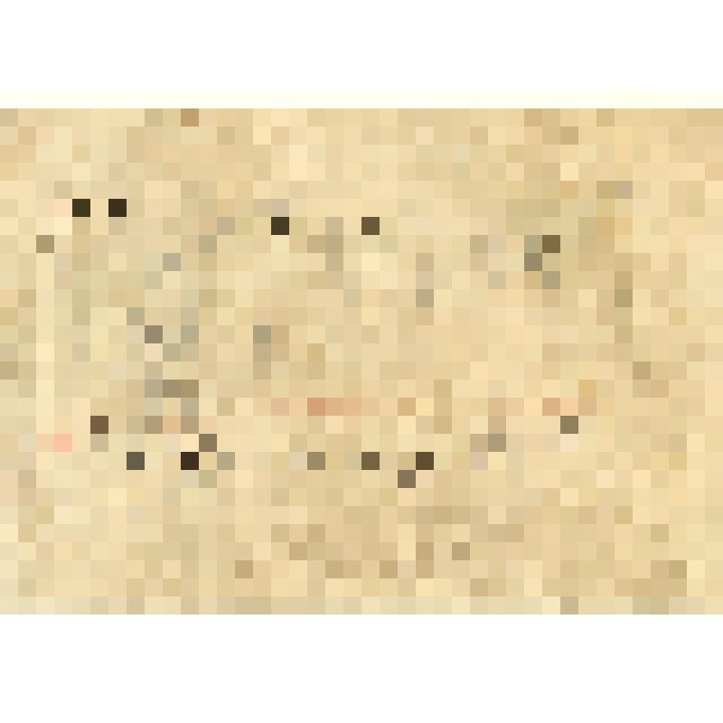 Книга: «Ревизор». Комедия в пяти действиях. Соч. Н. Гоголя. Санктпетербург, напечатано в типографии А. Плюшара, 1836 год