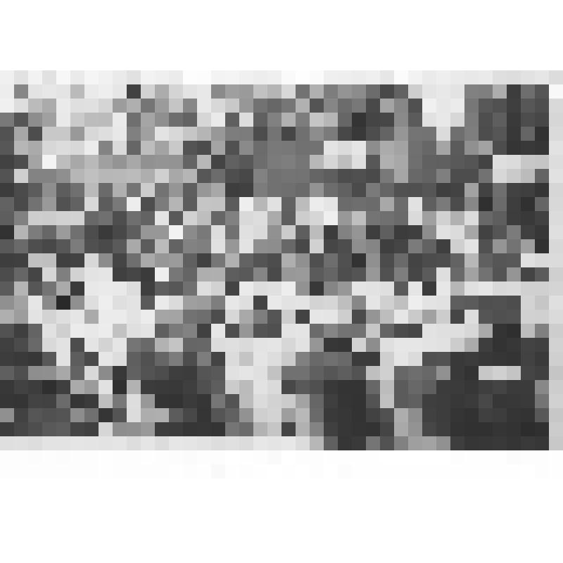 Праздник песни в Молотовском районе Омской области. Концерт Омского хора. I секретарь РК Григорьев выступает с благодарственной речью творческому коллективу. Июнь 1955 г. Фотография