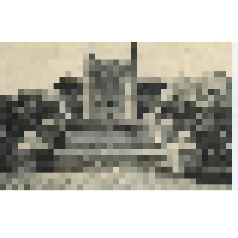 Открытка.Алупка. Львиная терраса