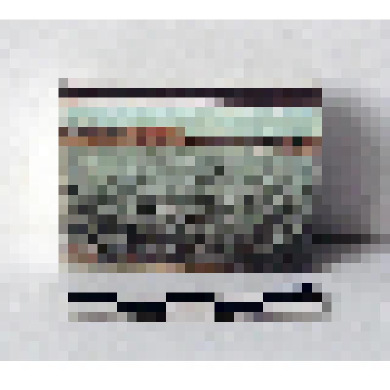 Спичечный коробок. Фотография: пруд в городском парке Из сувенирного набора спичечных коробков "Городу Тайга 100 лет (1896-1996)"