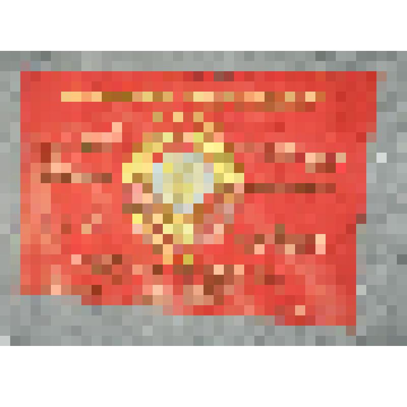 Знамя, боевой дружины народного ополчения г. Салехарда