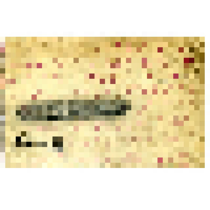 Карточка почтовая Мисбаховой Галиме