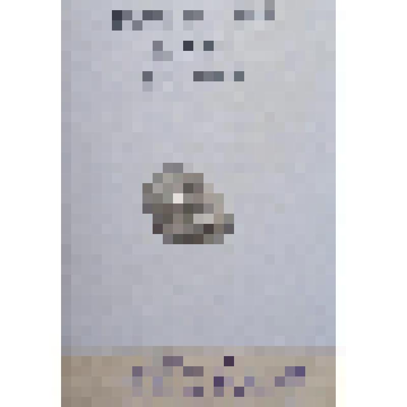 Монета Копейка