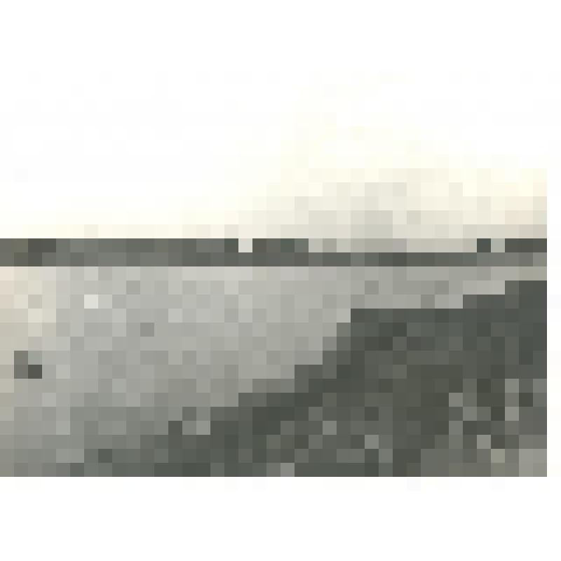 Фотография черно-белая. Общий вид пруда №1