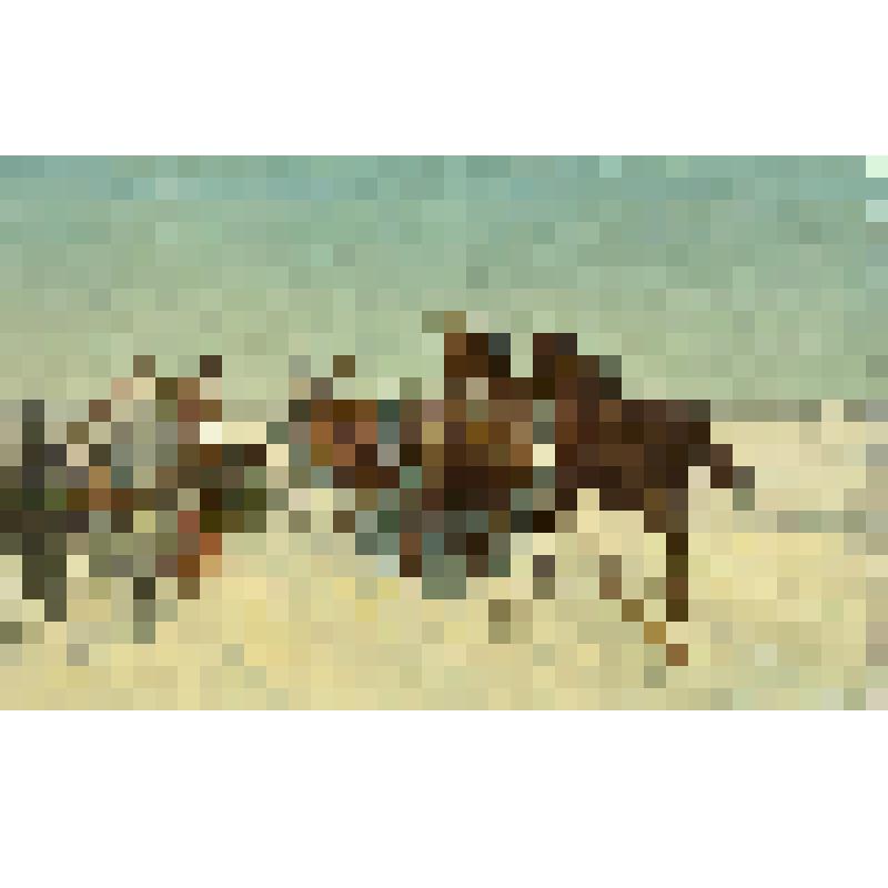 Репродукция картины П.О. Ковалевского "Встреча". Открытка