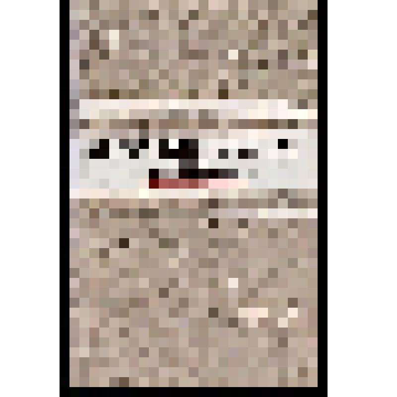 Книга [Сборник]. Вордскем музъем- аныкае. Удмурт шаер сярысь кылбуръёс. Родная мать-земля. Стихи об Удмуртии. На русском и удмуртском языке