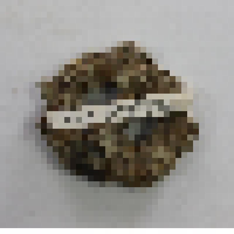 Фрагмент фибул