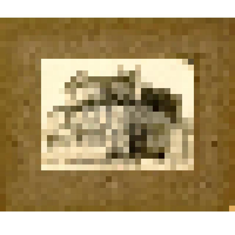 Фотография. Дом № 33 по Больничной ул. после пожара в апреле 1929г. Вид на передний и правый боковой  фасады