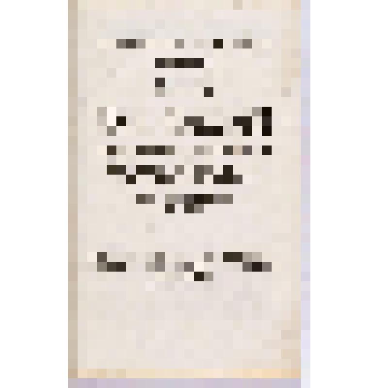 Книга. Russische Grammatick verfasset von Herrn Michael Lomonosow