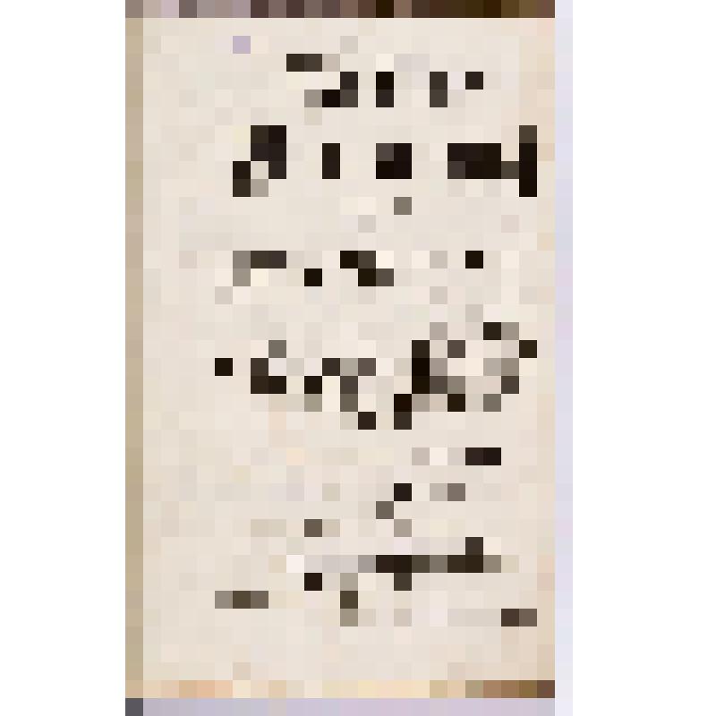 Книга. Russische Grammatick verfasset von Herrn Michael Lomonosow
