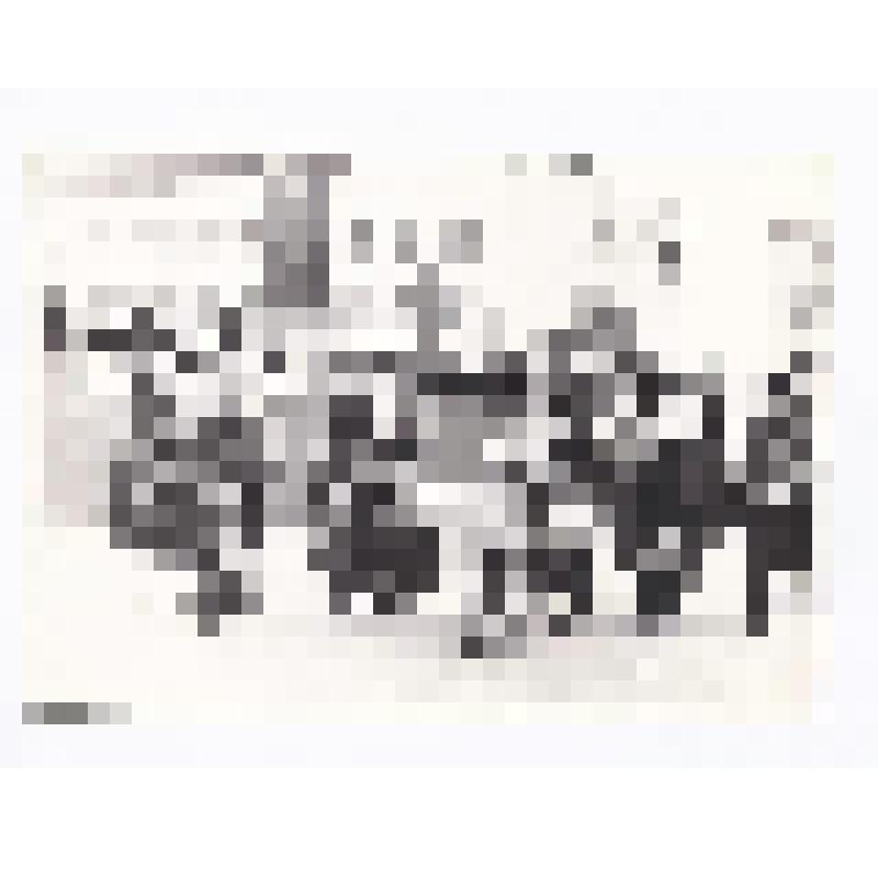 Фотография ч/б. Болгарские строители. Демонстрация. Город Нефтеюганск. Фондообразователь: Общественный музей Нефтеюганска