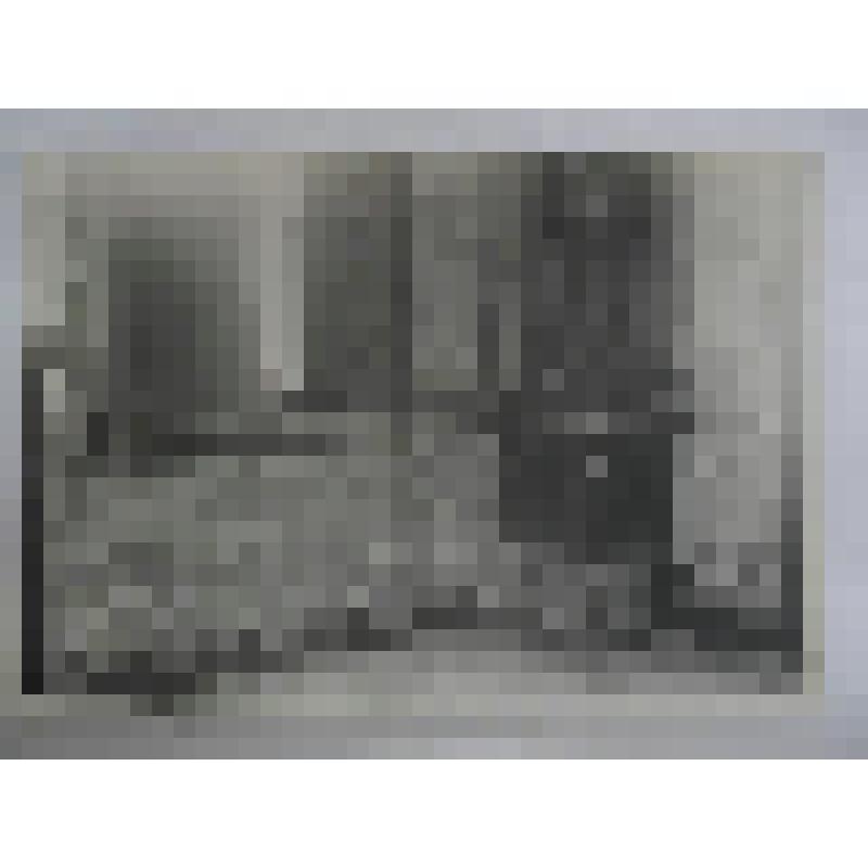 Белая башня. Александровский парк. 1821-1827 гг. Ленинградская область. Г.Пушкин (Царское Село). Александровский парк. Белая башня.1821-1827 гг. Интерьер. Фрагмент декора