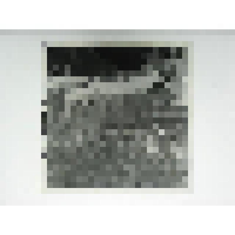 Дом Баранчиковых. Ул. Красный путь. 1880-е гг. Челябинская  обл., Кусинский р-н, с. Медведевка. Дом Баранчиковых. Ул. Красный путь. 1880-е гг. Ворота правой части владения