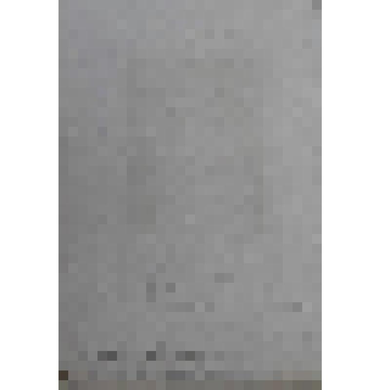 Портрет Терезы, королевы Баварии