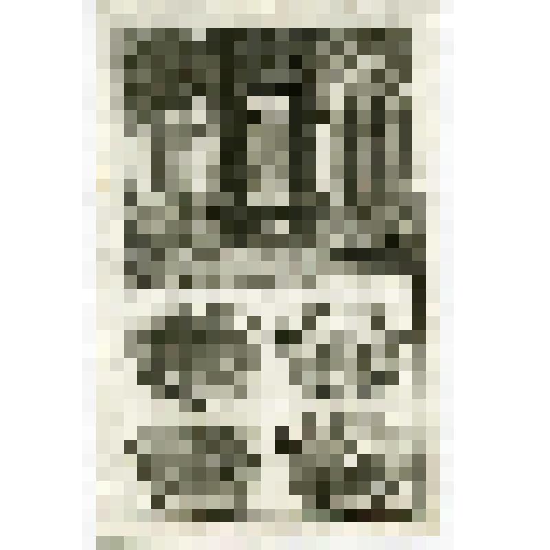 Офорт. Лист 136. Иллюстрации к Книге Товии