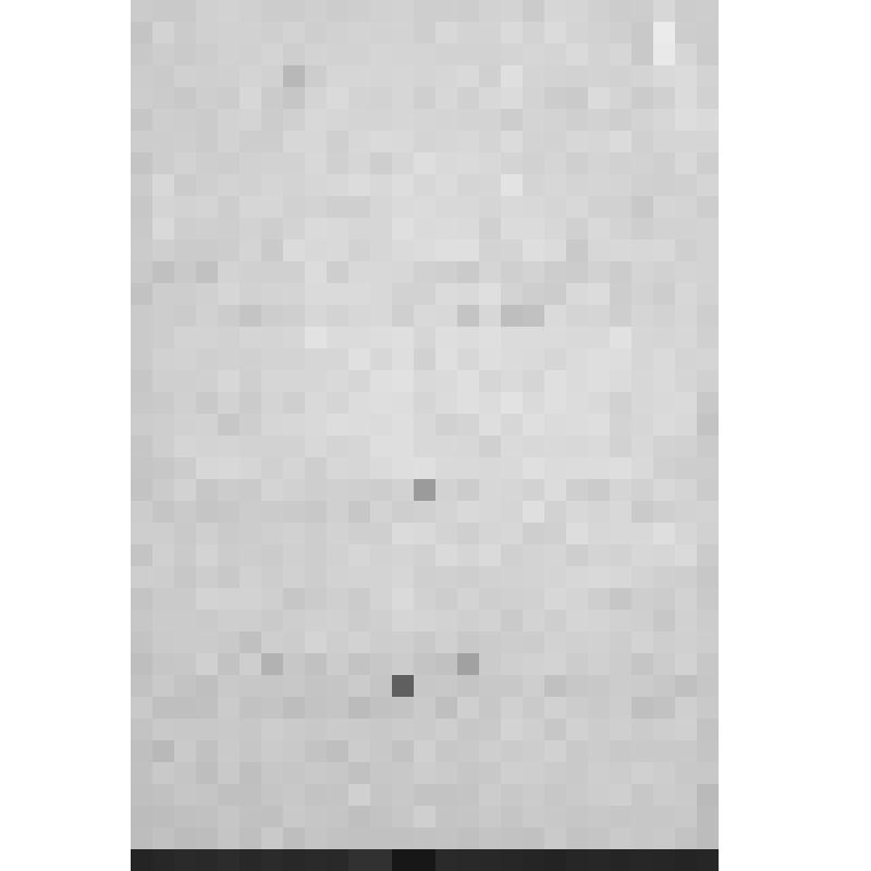 Автобиография Нагаева Матвея Назаровича - красногвардейца 1 роты, 269 полка, 30 дивизии 5 армии. Датирована 3 апреля