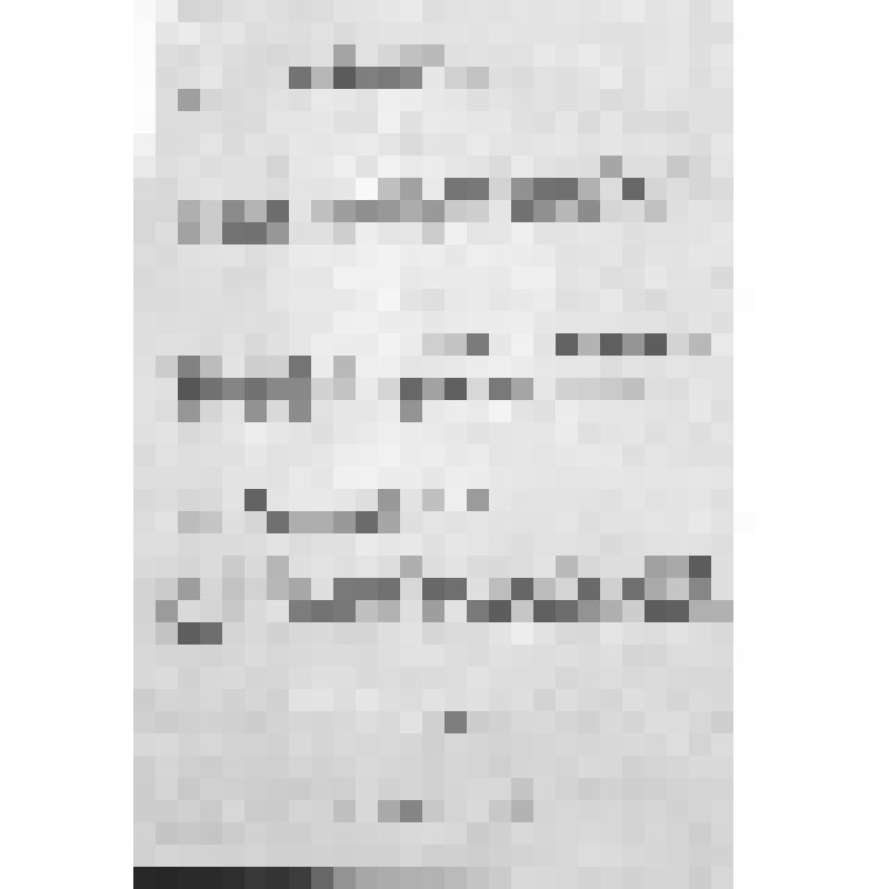 Автобиография Нагаева Матвея Назаровича - красногвардейца 1 роты, 269 полка, 30 дивизии 5 армии. Датирована 3 апреля