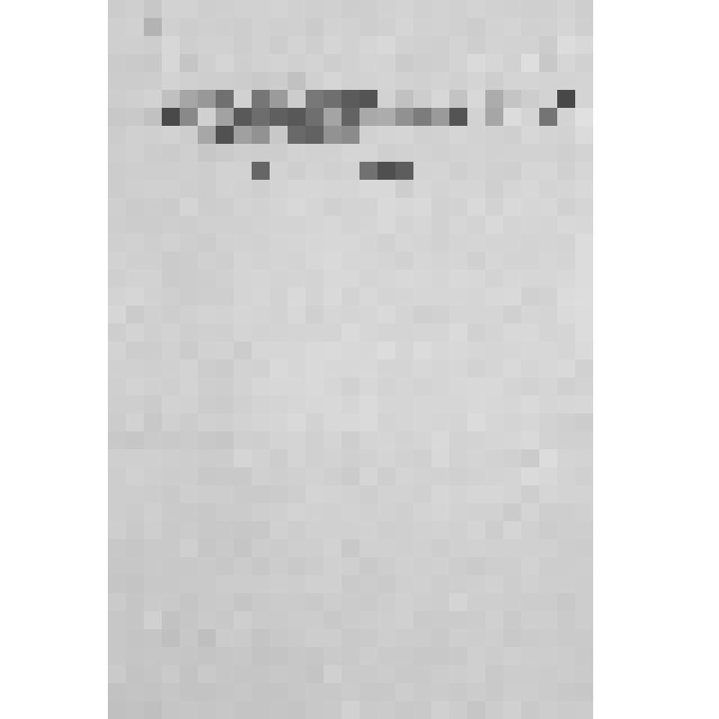 Автобиография Нагаева Матвея Назаровича - красногвардейца 1 роты, 269 полка, 30 дивизии 5 армии. Датирована 3 апреля