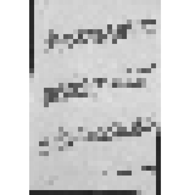 Автобиография Нагаева Матвея Назаровича - красногвардейца 1 роты, 269 полка, 30 дивизии 5 армии. Датирована 3 апреля